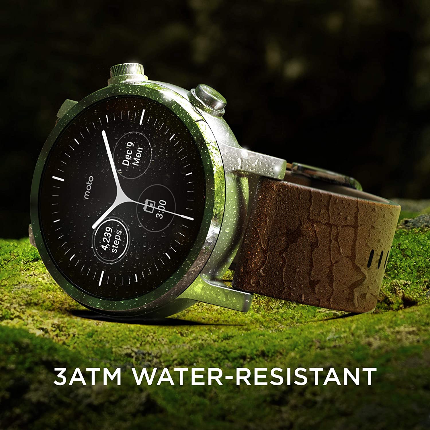 81vETjothdL._AC_UL1500_